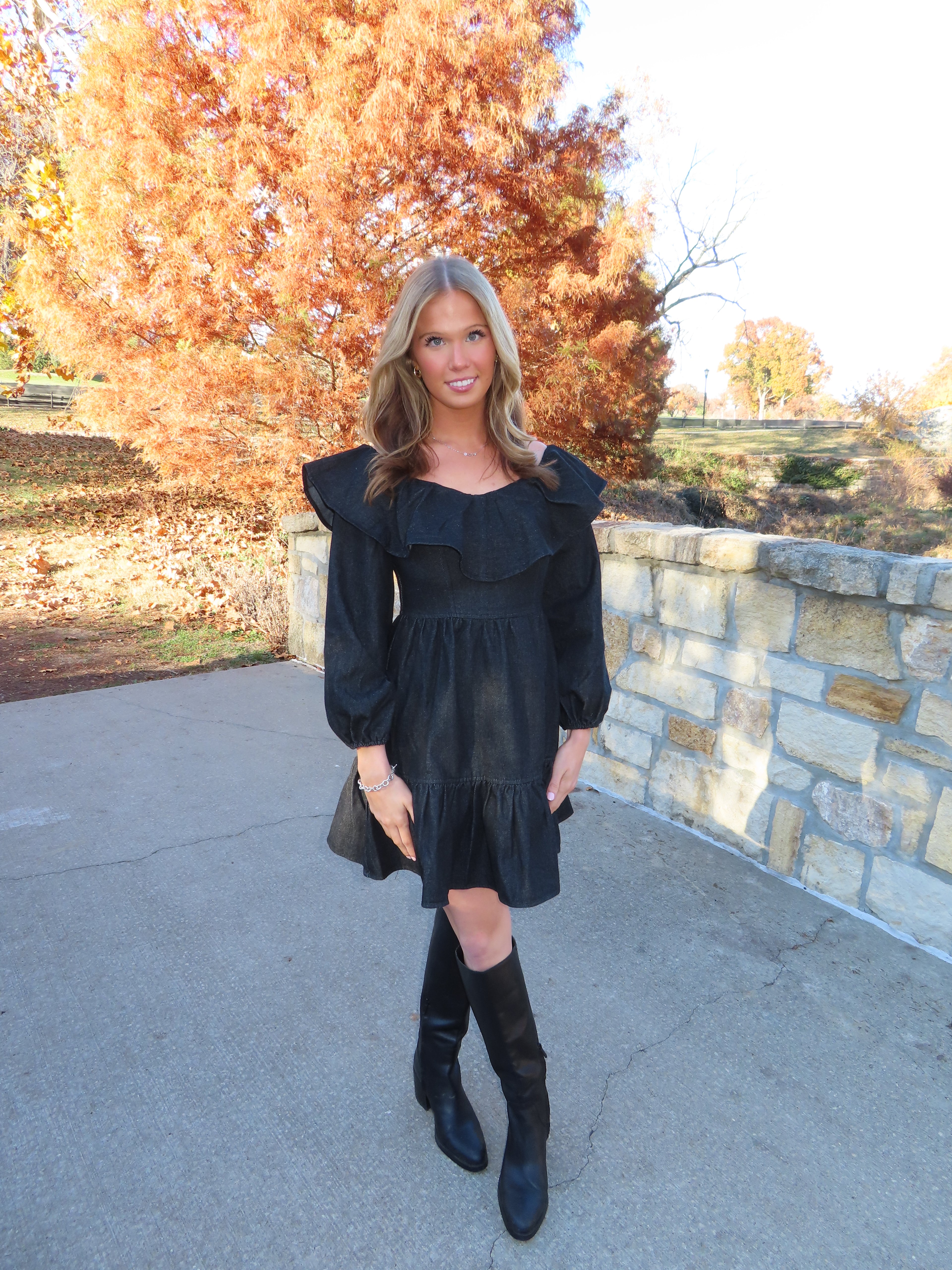 Elizabeth Denim Dress