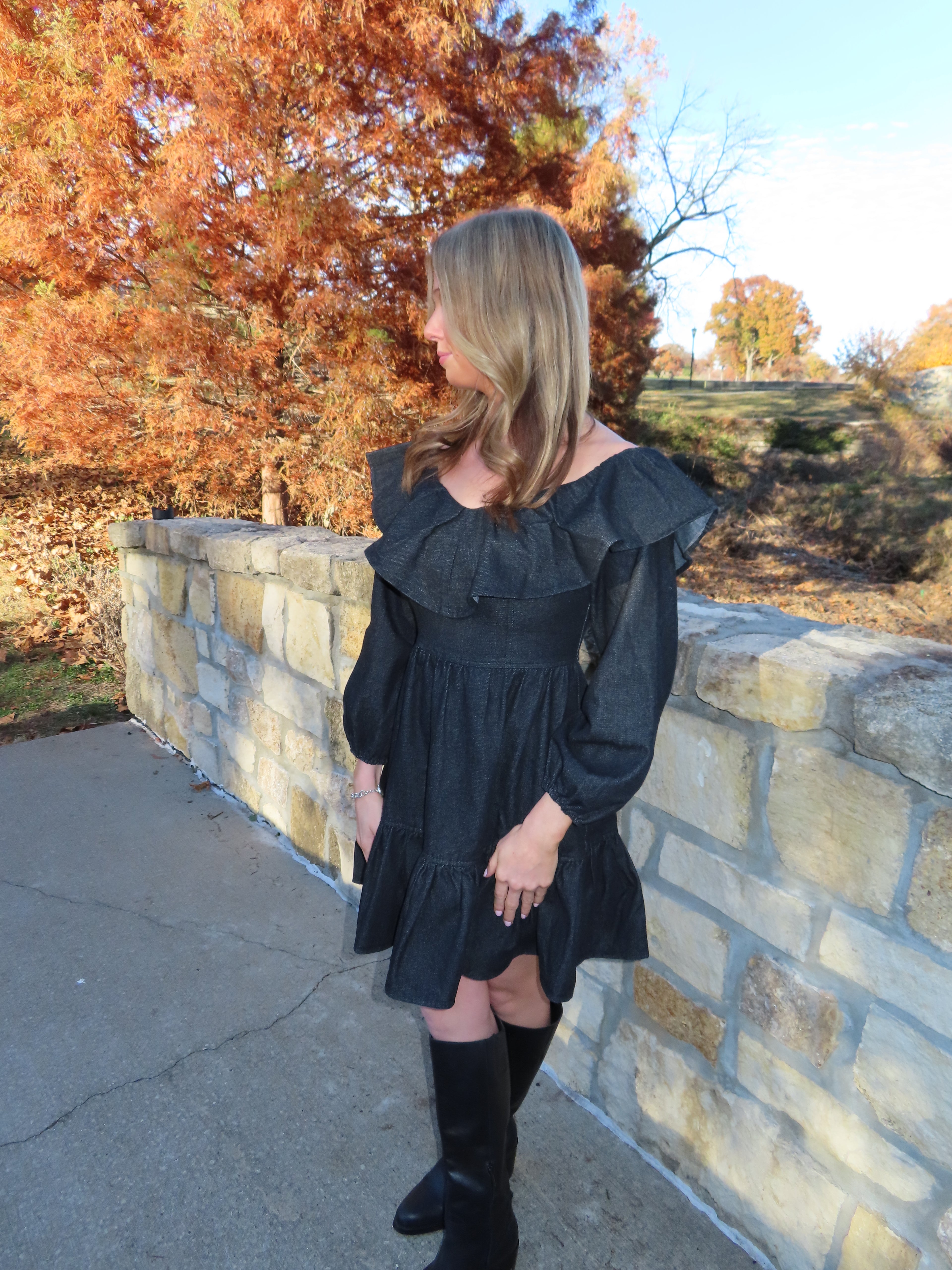 Elizabeth Denim Dress