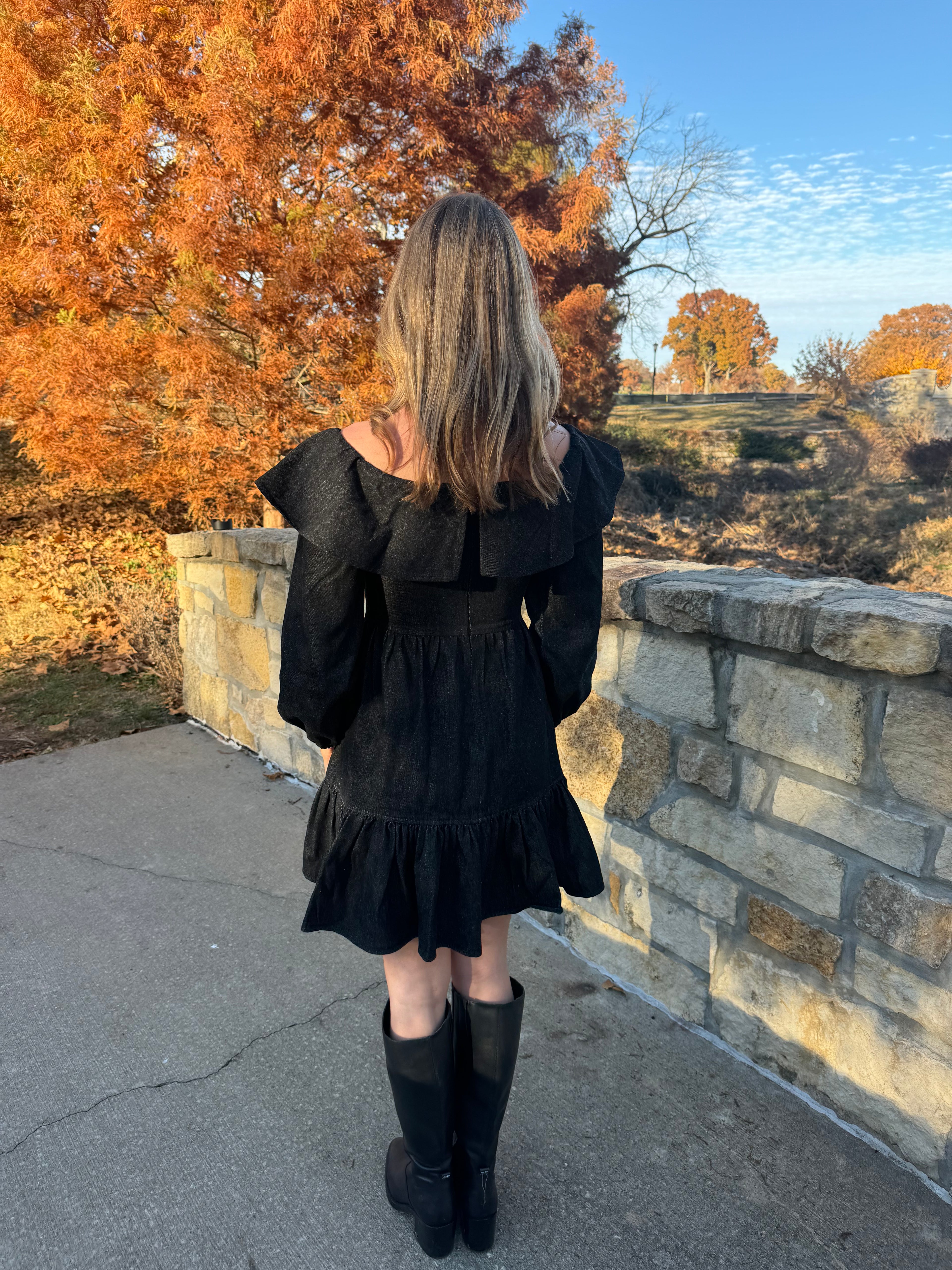 Elizabeth Denim Dress