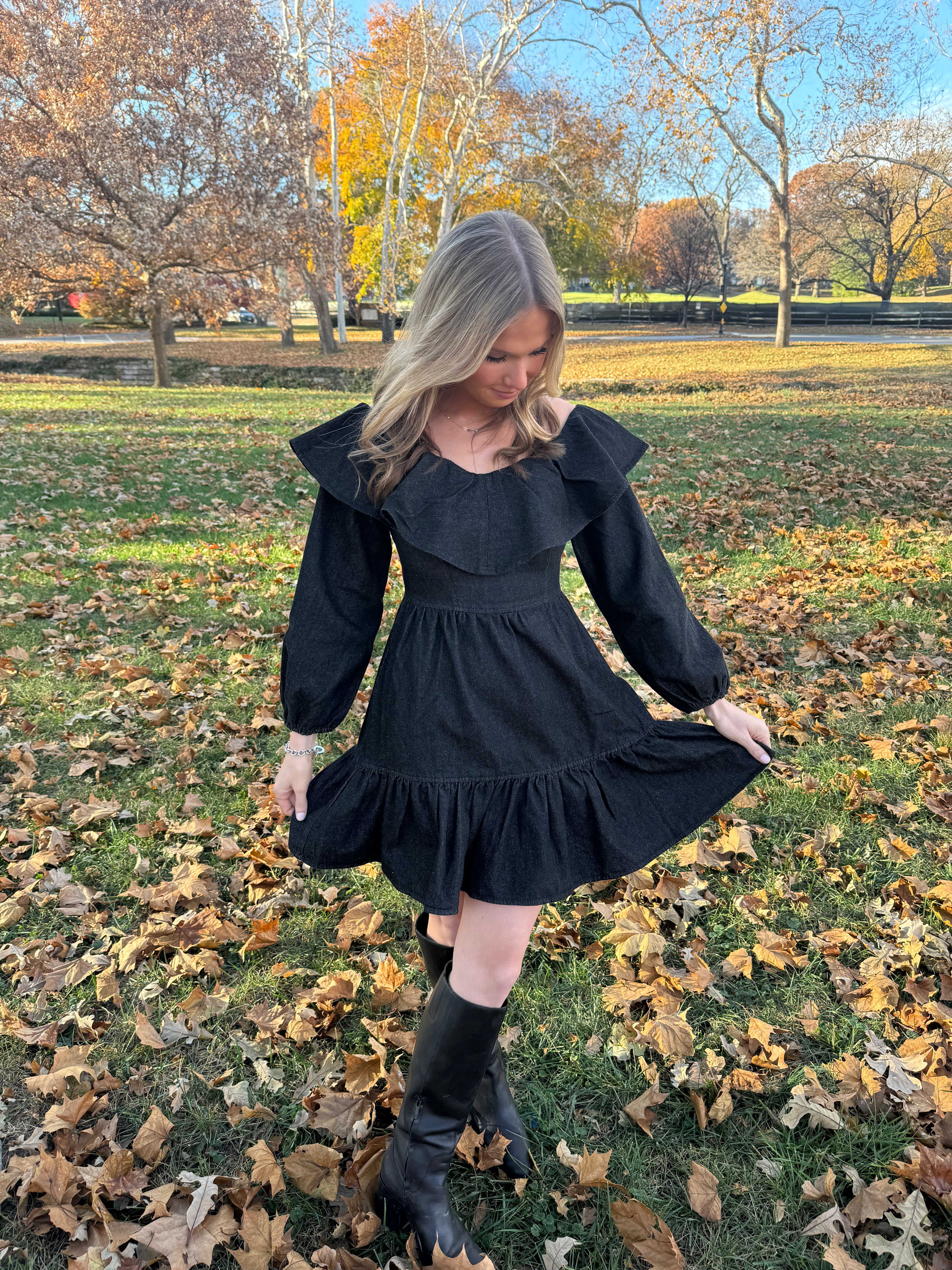 Elizabeth Denim Dress